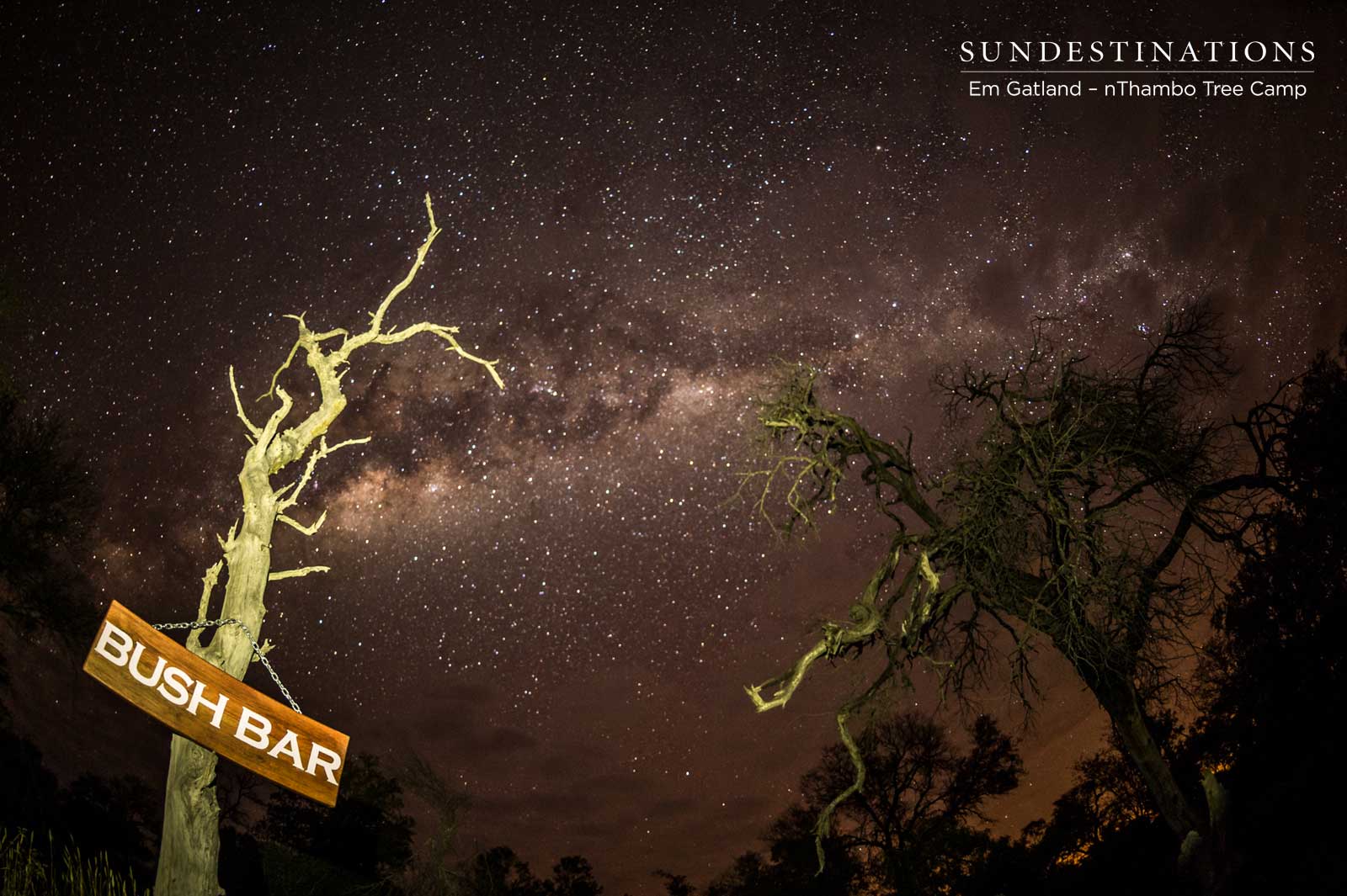Bush Bar Night Sky Bush Bar Night Sky