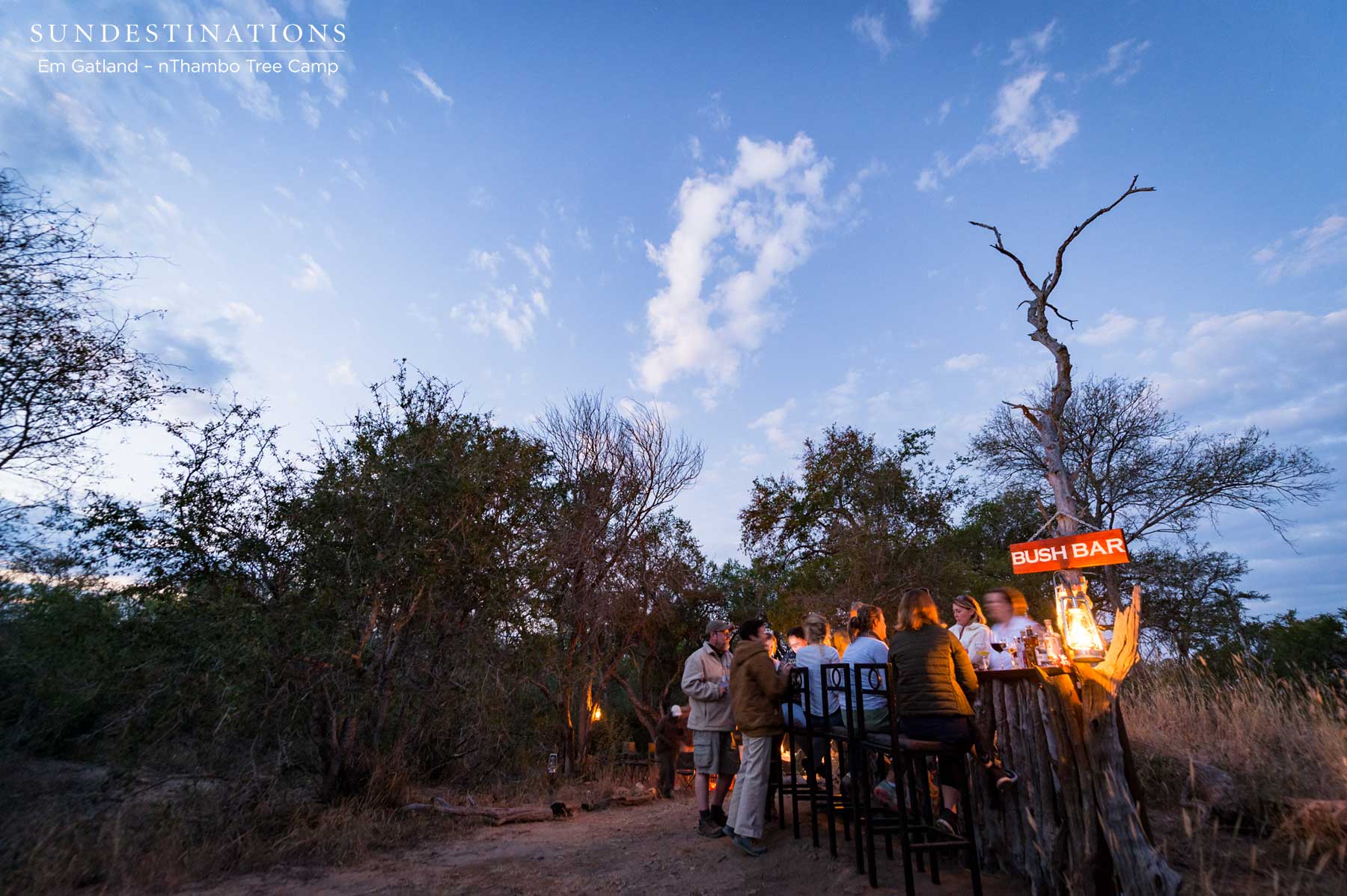 Twilight at Bush Bar Twilight at Bush Bar
