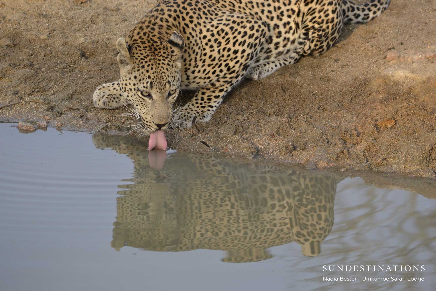 Mxabene Lapping Water