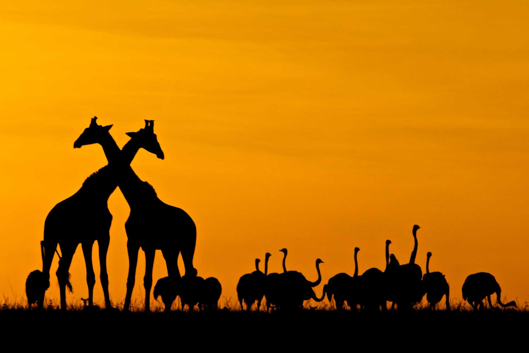 Warren Samuels Sunset