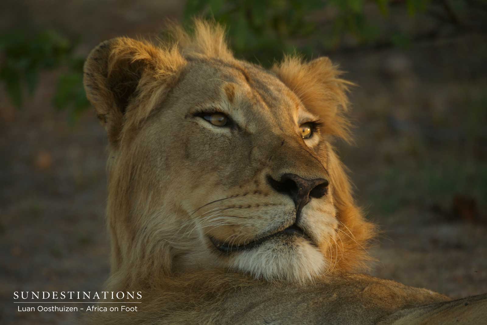 Africa on Foot Nomadic Male