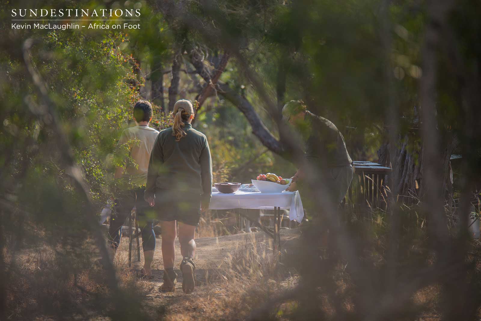 Bushveld Dining in Klaserie Bushveld Dining in Klaserie