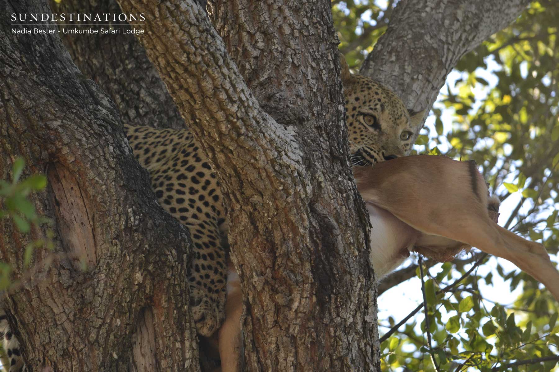 Mxabene with his Kill Mxabene with his Kill