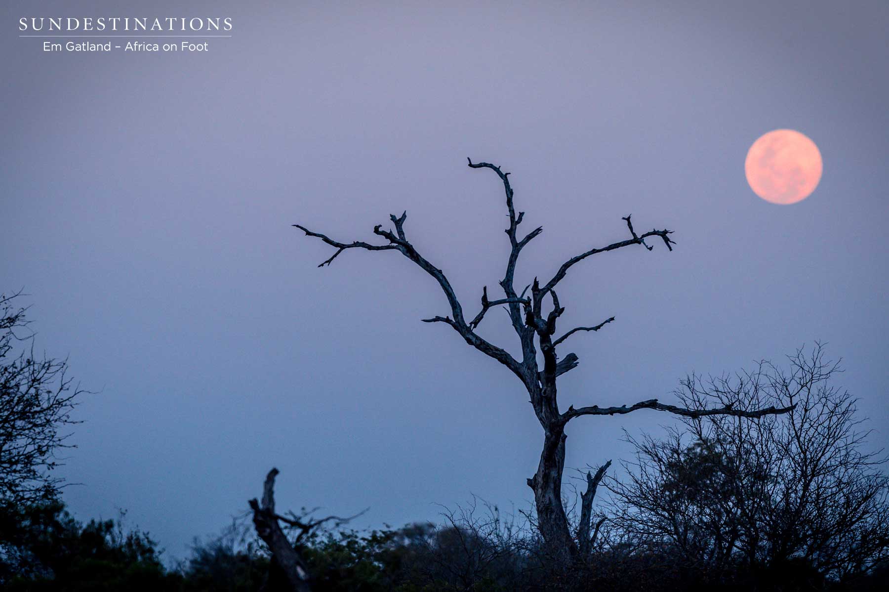 Full Moon at Twilight Full Moon at Twilight