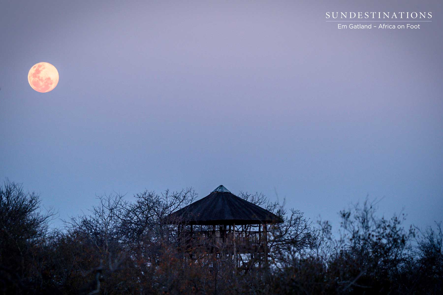 Africa on Foot Treehouse Africa on Foot Treehouse