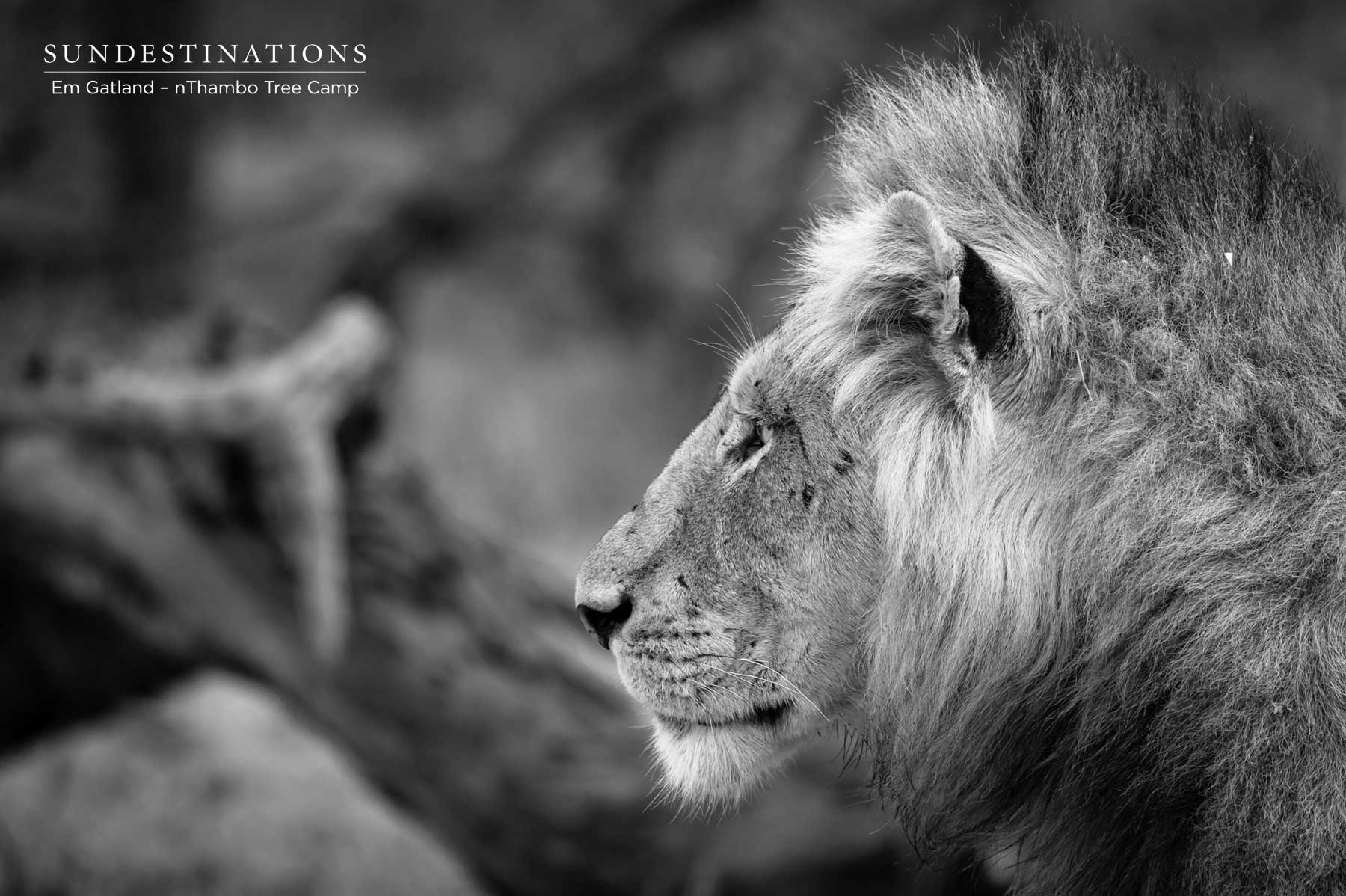 Mbiri Males Klaserie