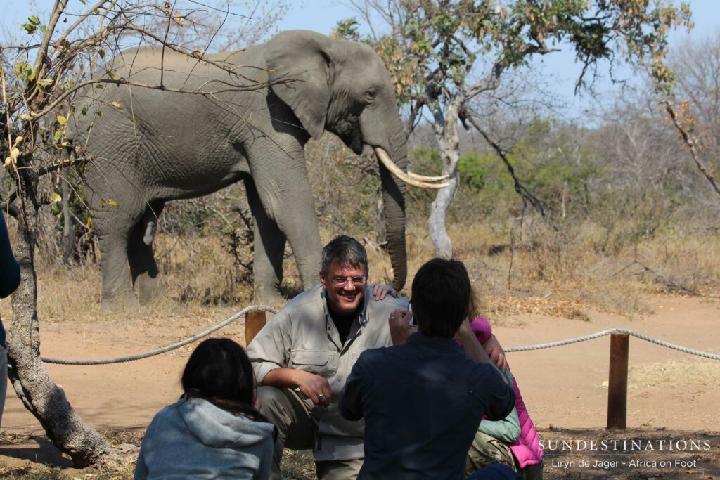 Elephant with Guests