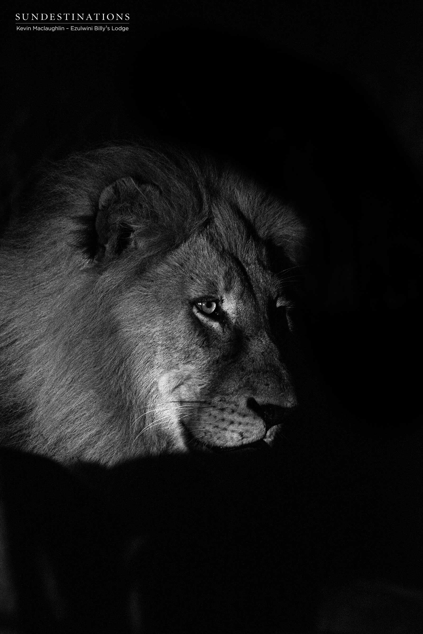 Macahton Male Ezulwini Macahton Male Ezulwini