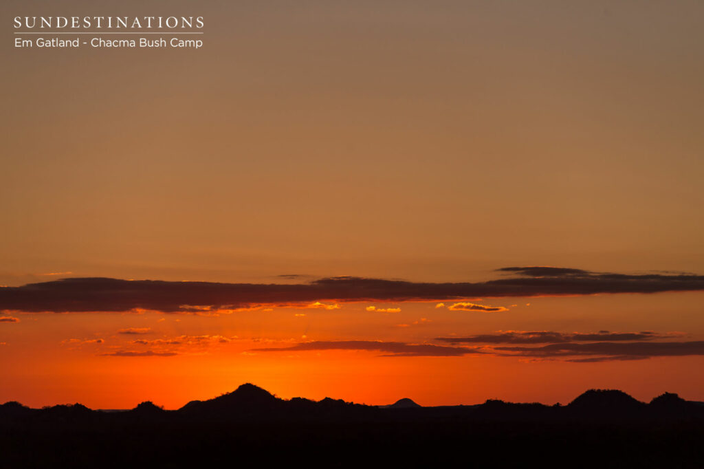 Chacma Sunset Maseke
