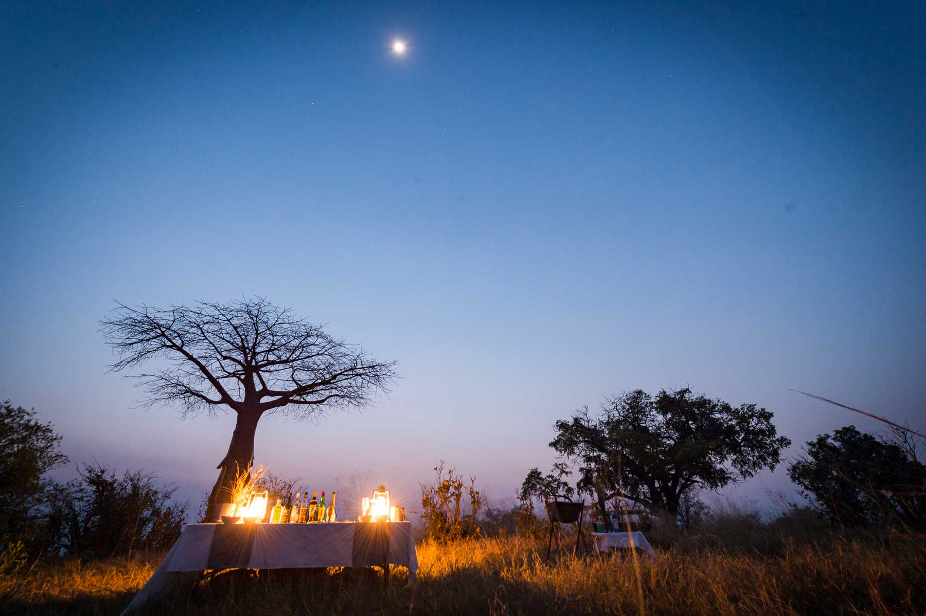 Baobab Motswiri : Image by Em Gatland Baobab Motswiri : Image by Em Gatland