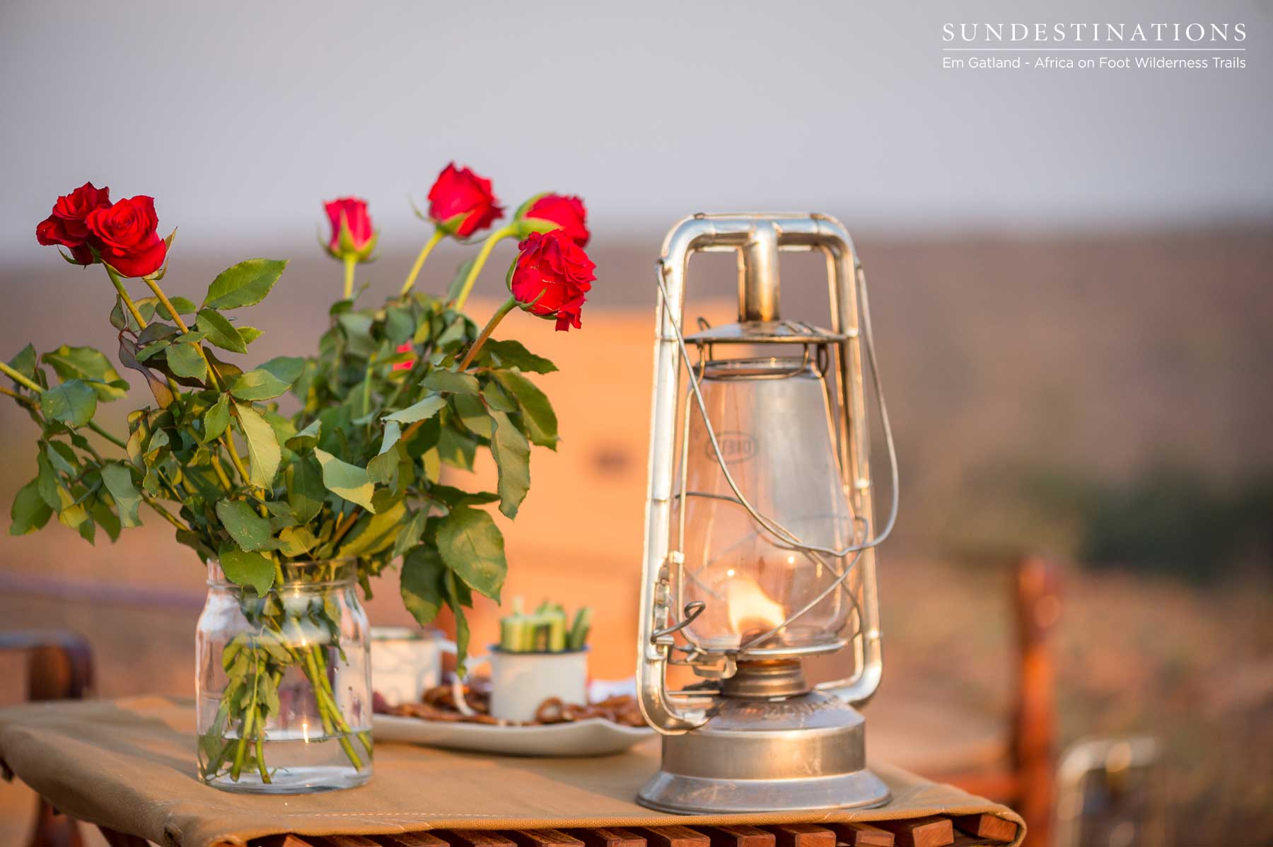 Sundowner Trails Roses Sundowner Trails Roses