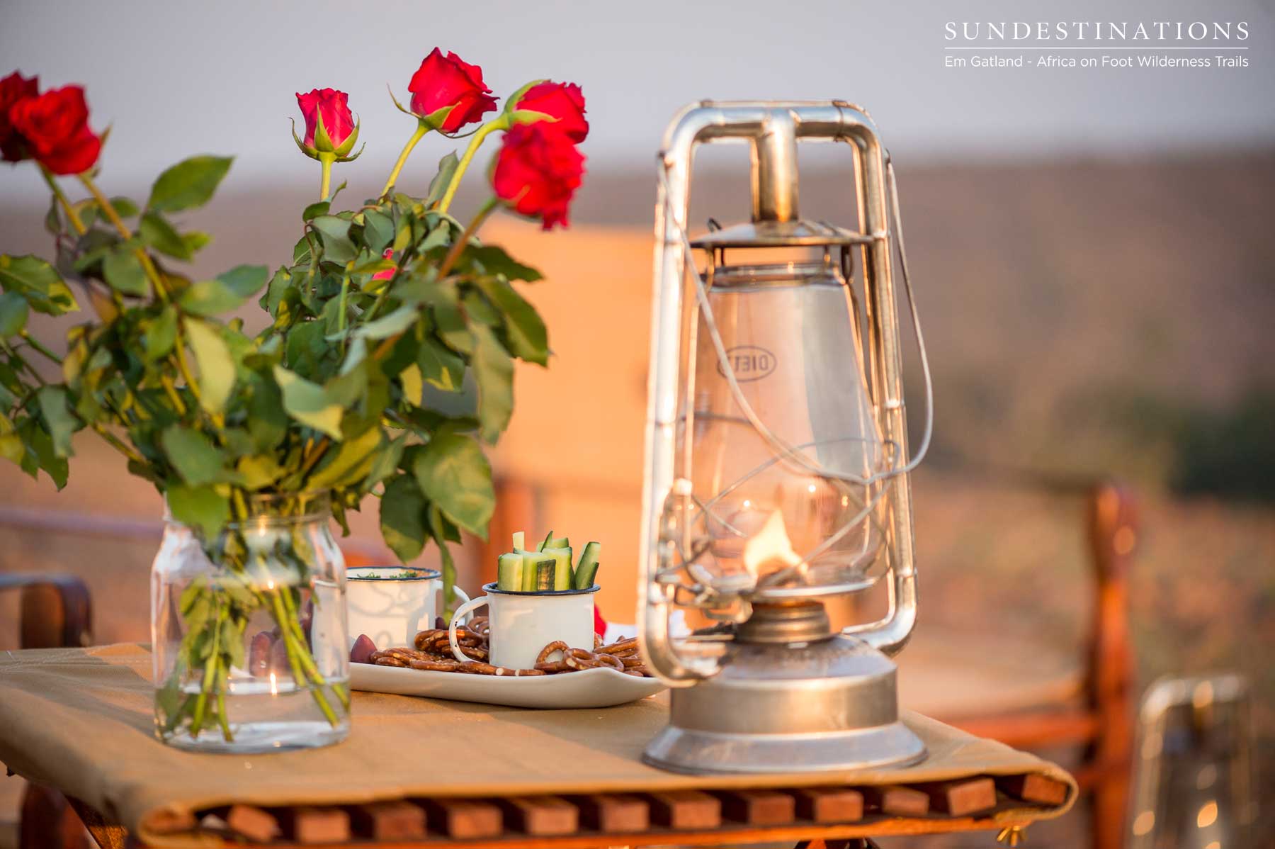 Roses and Lanterns for Romance Roses and Lanterns for Romance