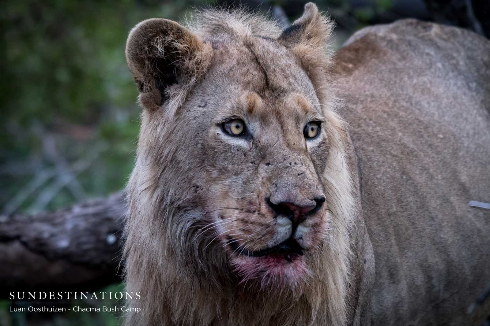 Maseke Male Coalition Maseke Male Coalition