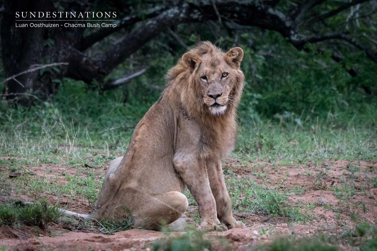 Maseke Males Coalition Maseke Males Coalition