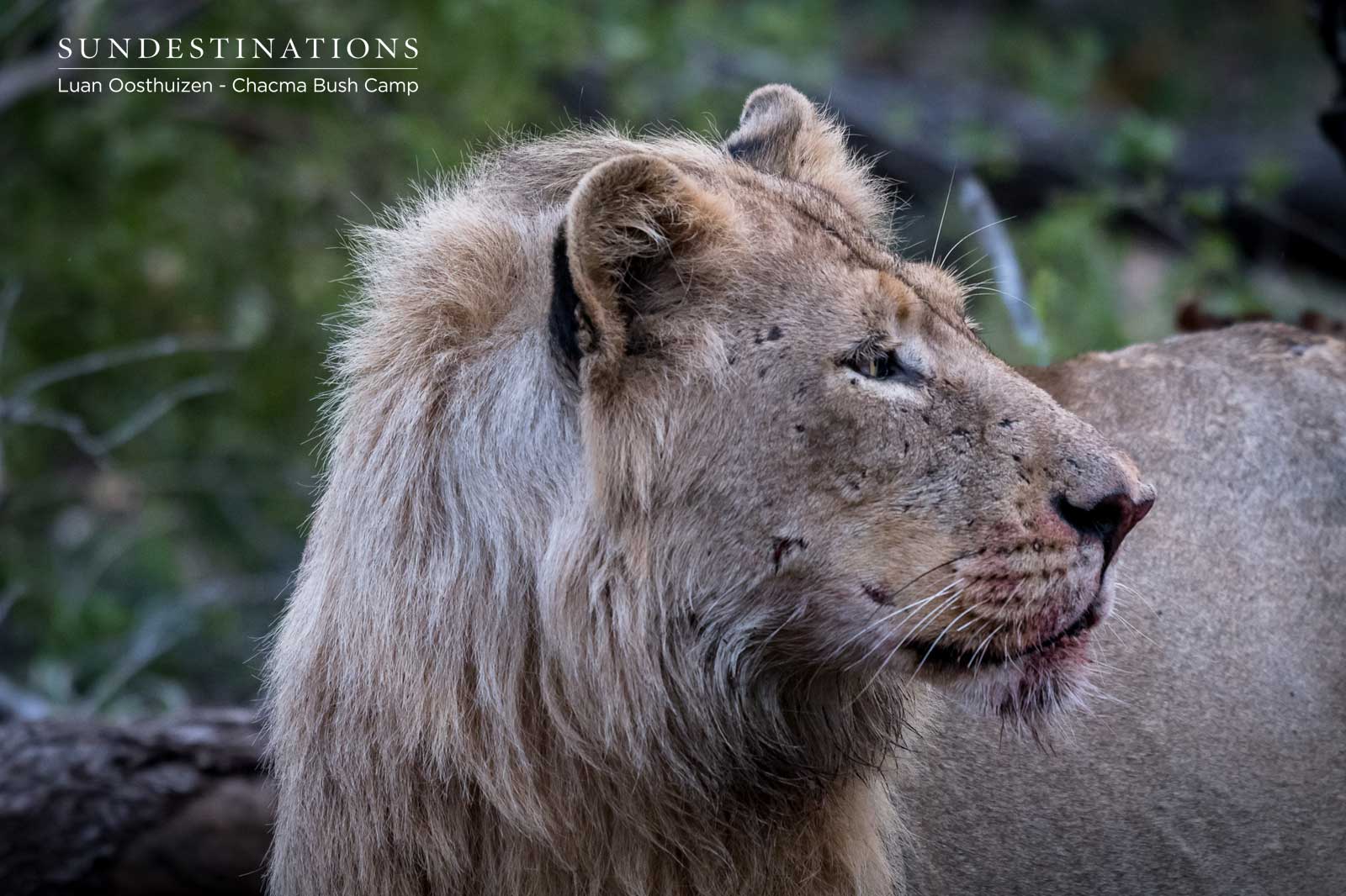 Maseke Males Maseke Males