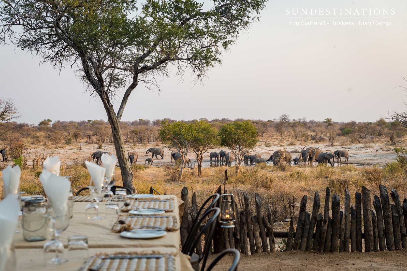 Elephants at Tuskers Bush Camp Elephants at Tuskers Bush Camp
