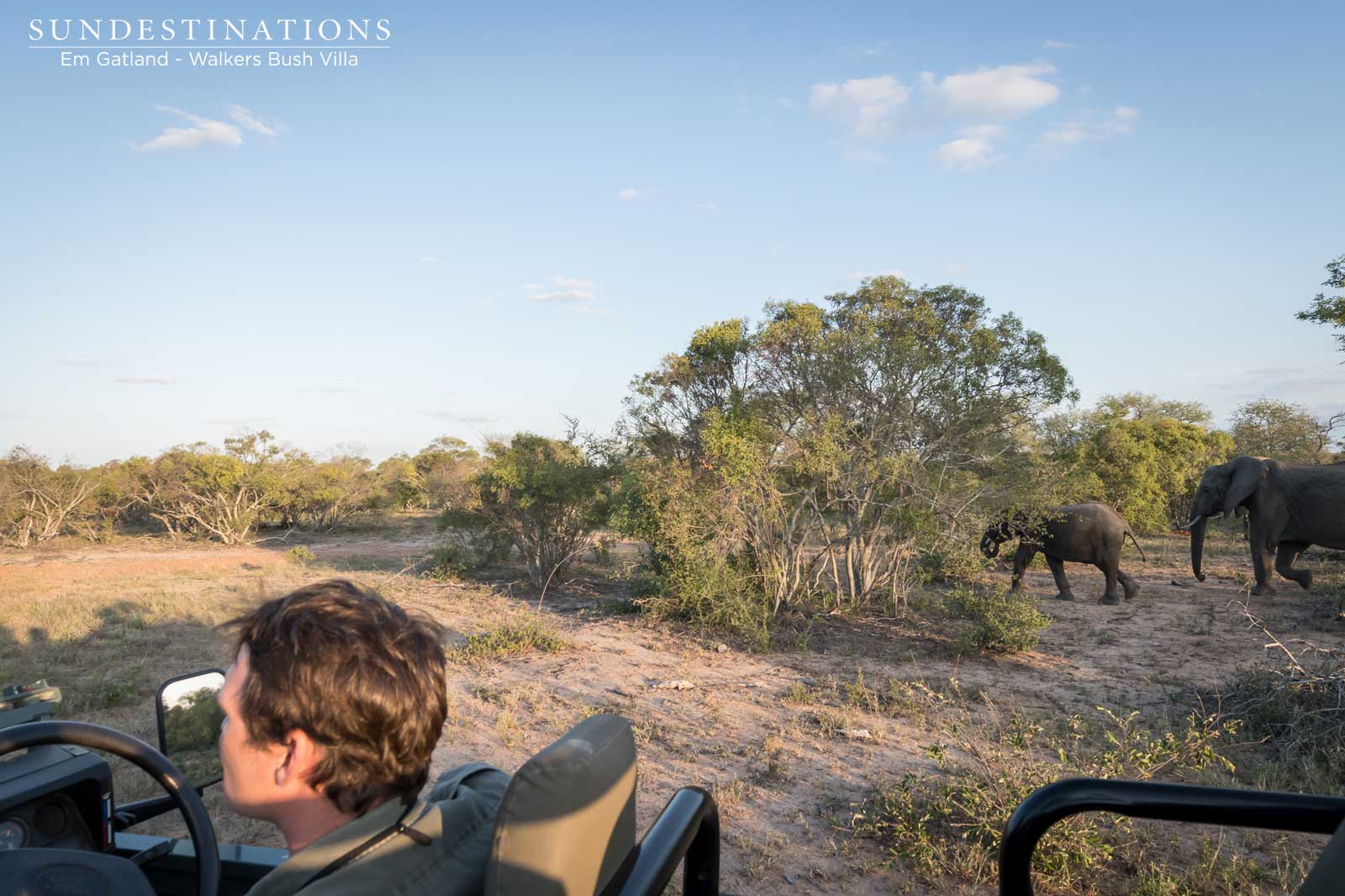 Walkers Bush Villa Game Drive Walkers Bush Villa Game Drive