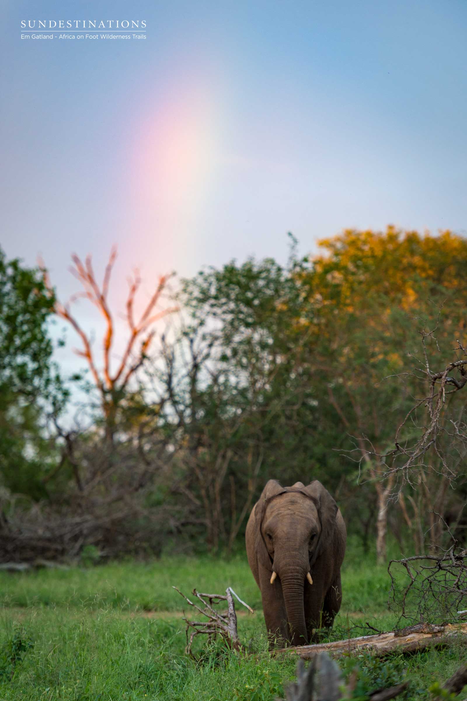 Elephants and Rainbows in the Maseke Elephants and Rainbows in the Maseke