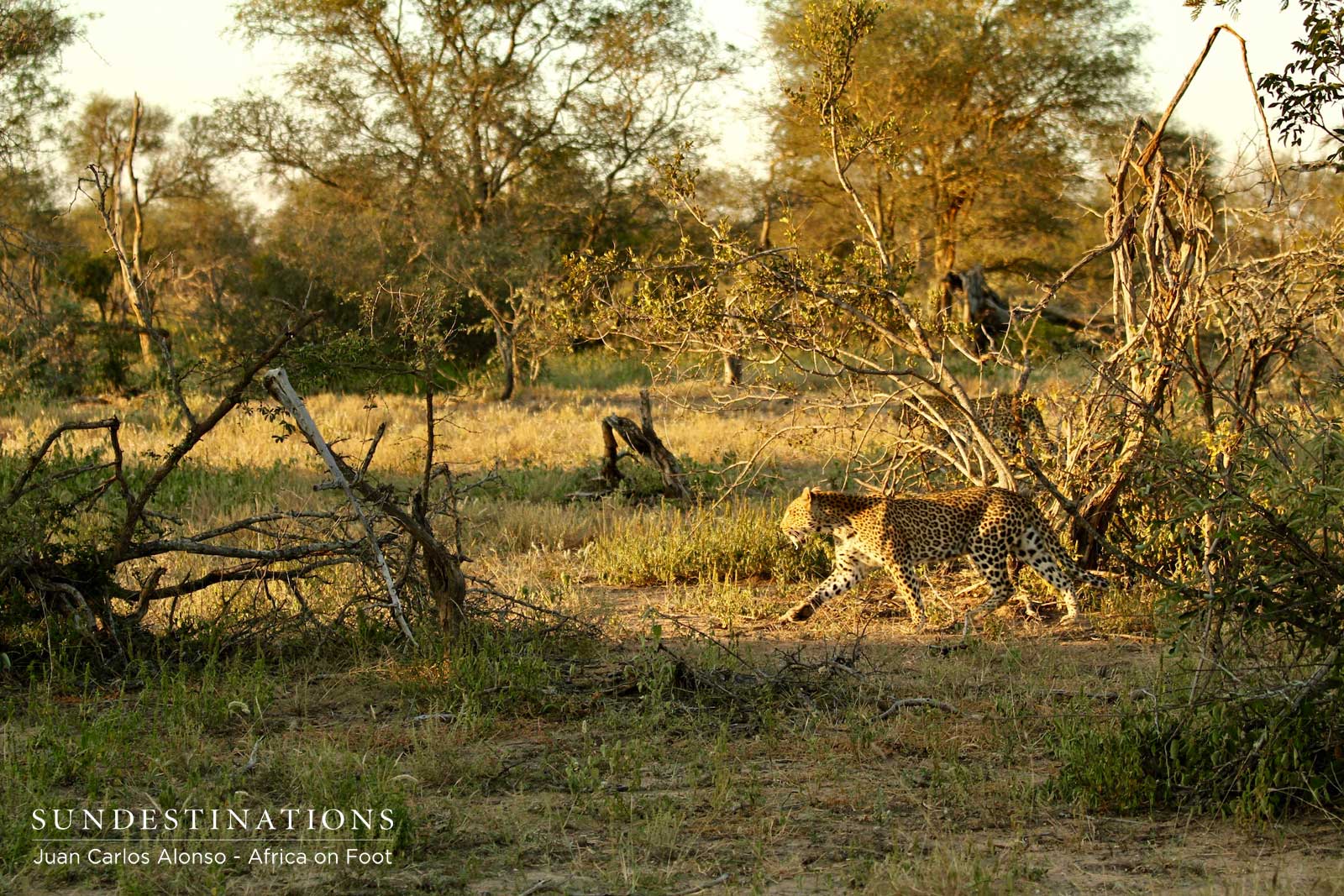 Ross Dam and Rhulani Ross Dam and Rhulani