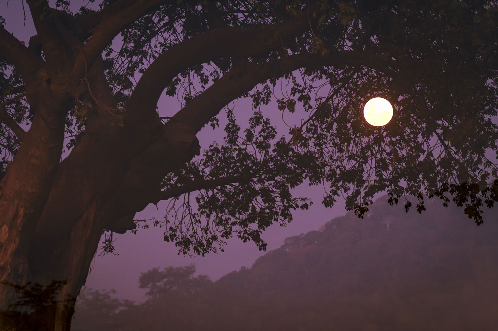 Ghoha Hills Full Moon Em Gatland Ghoha Hills Full Moon Em Gatland
