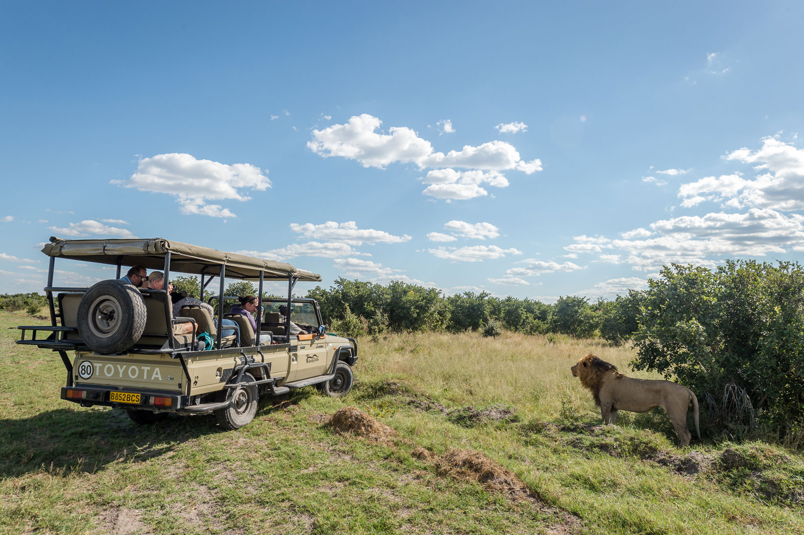 Ghoha Hills Spotting Lions Ghoha Hills Spotting Lions