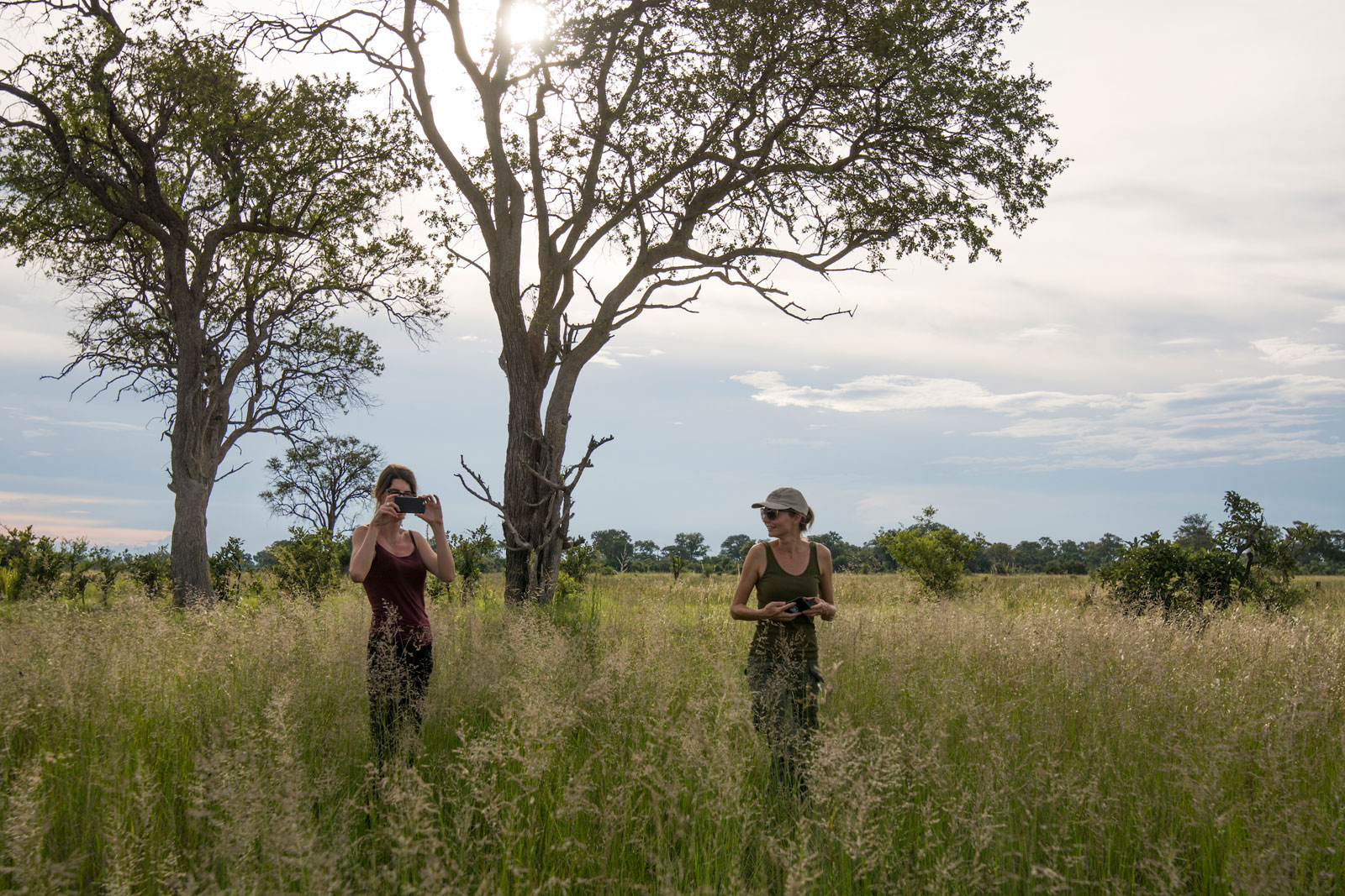 RAW Botswana Bushveld RAW Botswana Bushveld