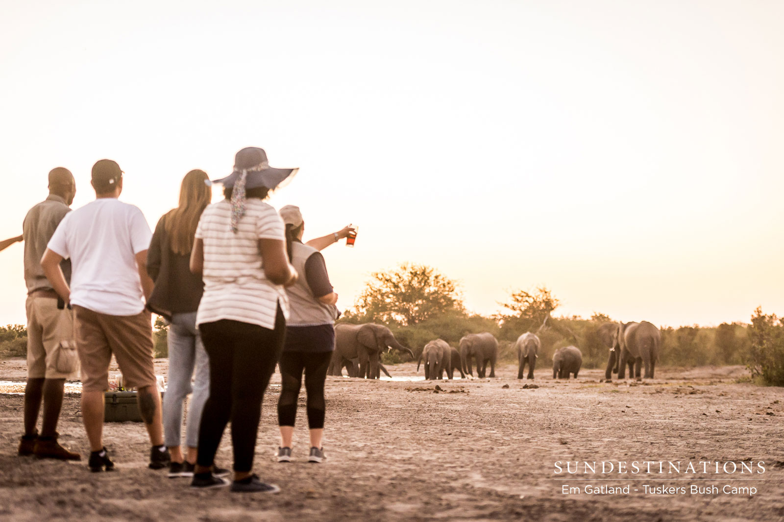 Tuskers Educational - Elephants Arrive Tuskers Educational - Elephants Arrive