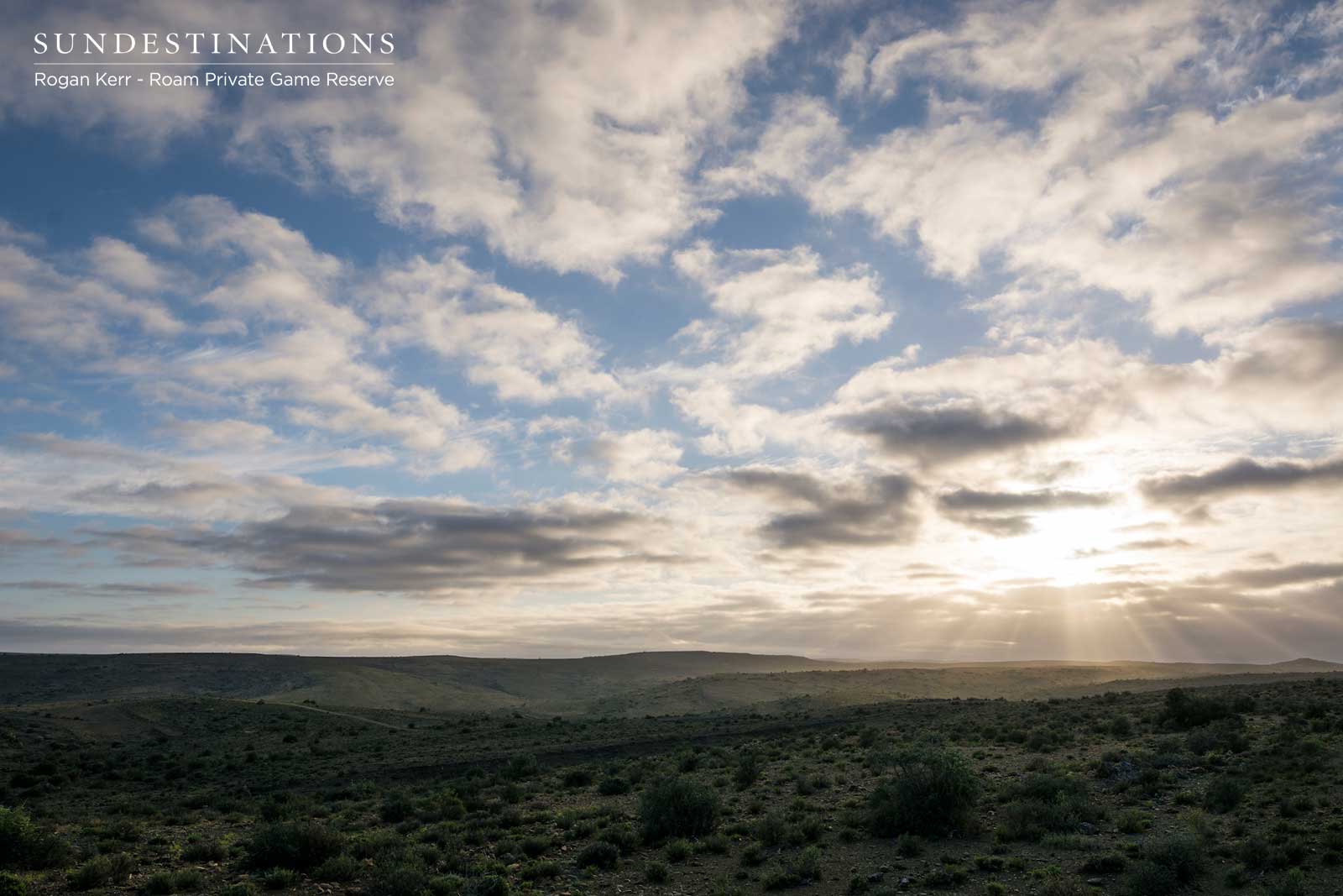 The Karoo Landscape The Karoo Landscape