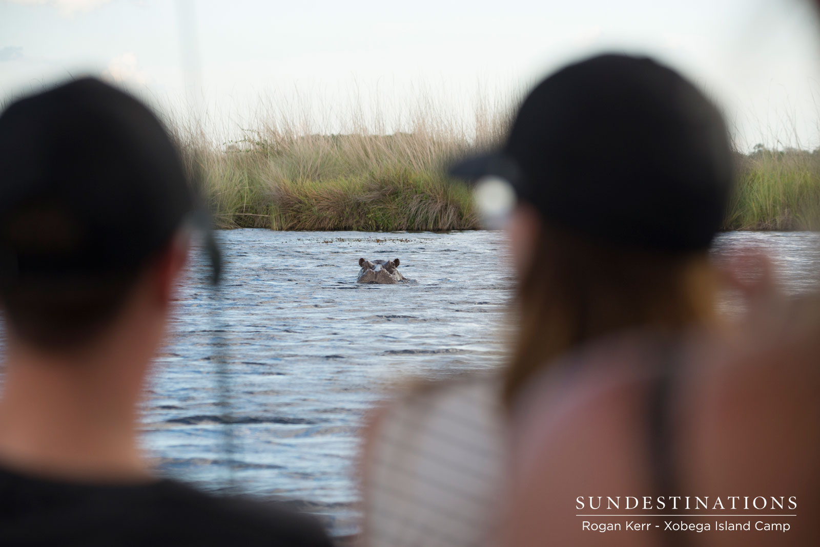 Watching Hippos with Xobega Watching Hippos with Xobega