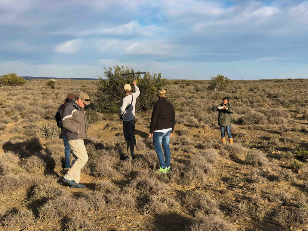 Roam Walking with Cheetah in Karoo