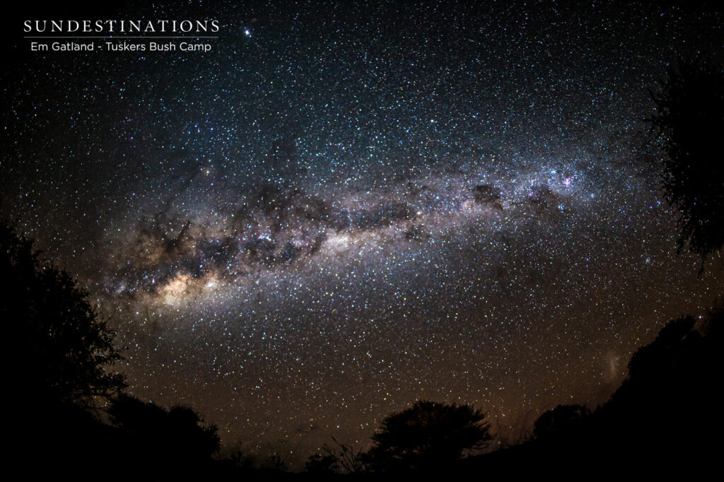 Tuskers Bush Camp Night Sky