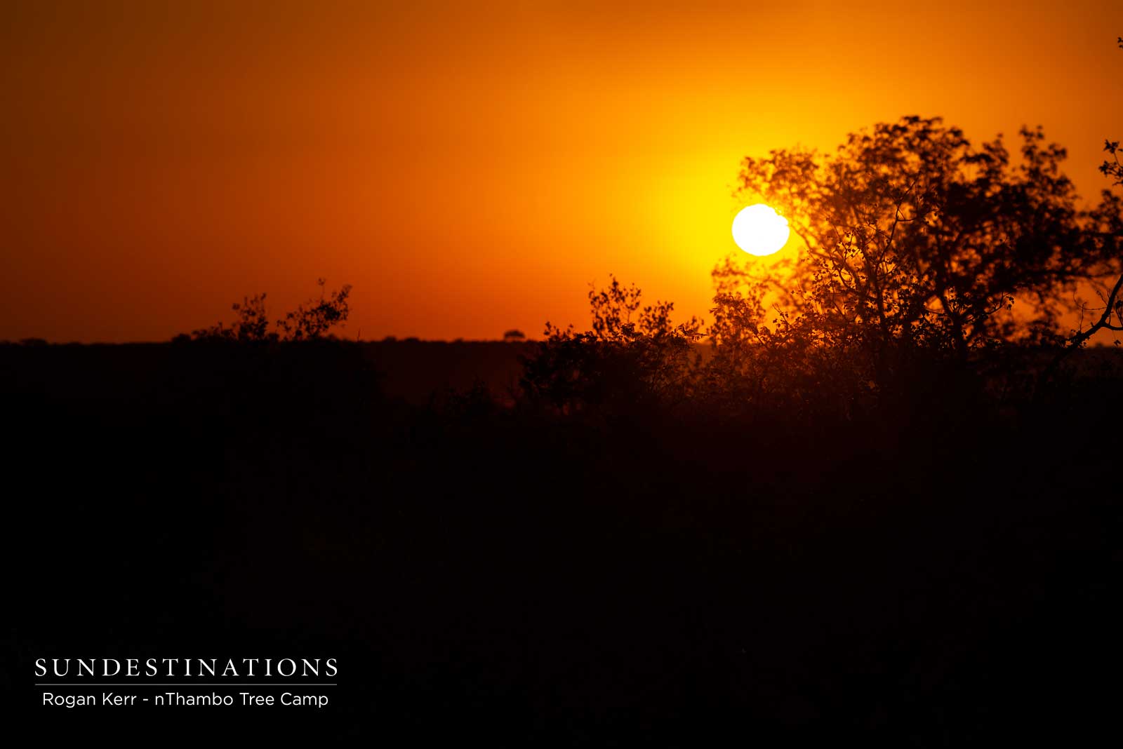 Sunset nThambo Tree Camp Sunset nThambo Tree Camp
