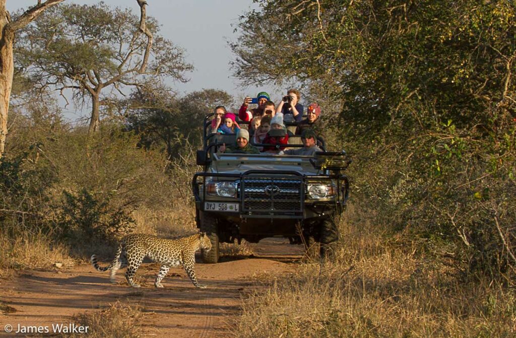Walkers Bush Villa Game Drive