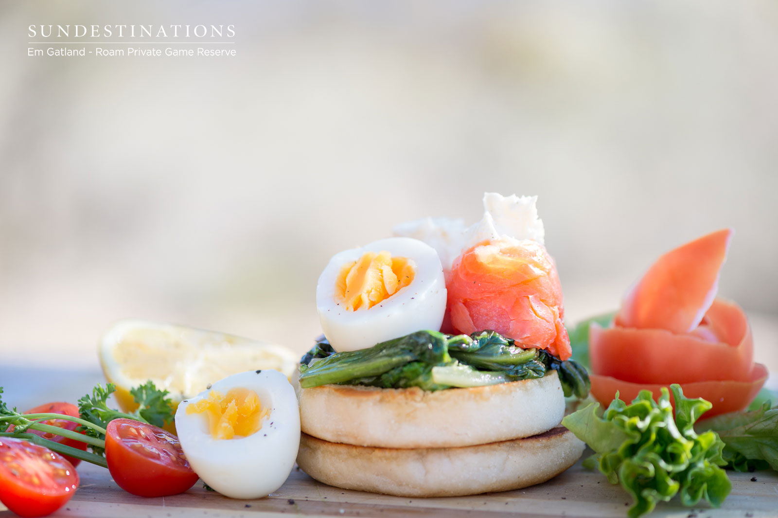 Salmon Eggs Breakfast Salmon Eggs Breakfast