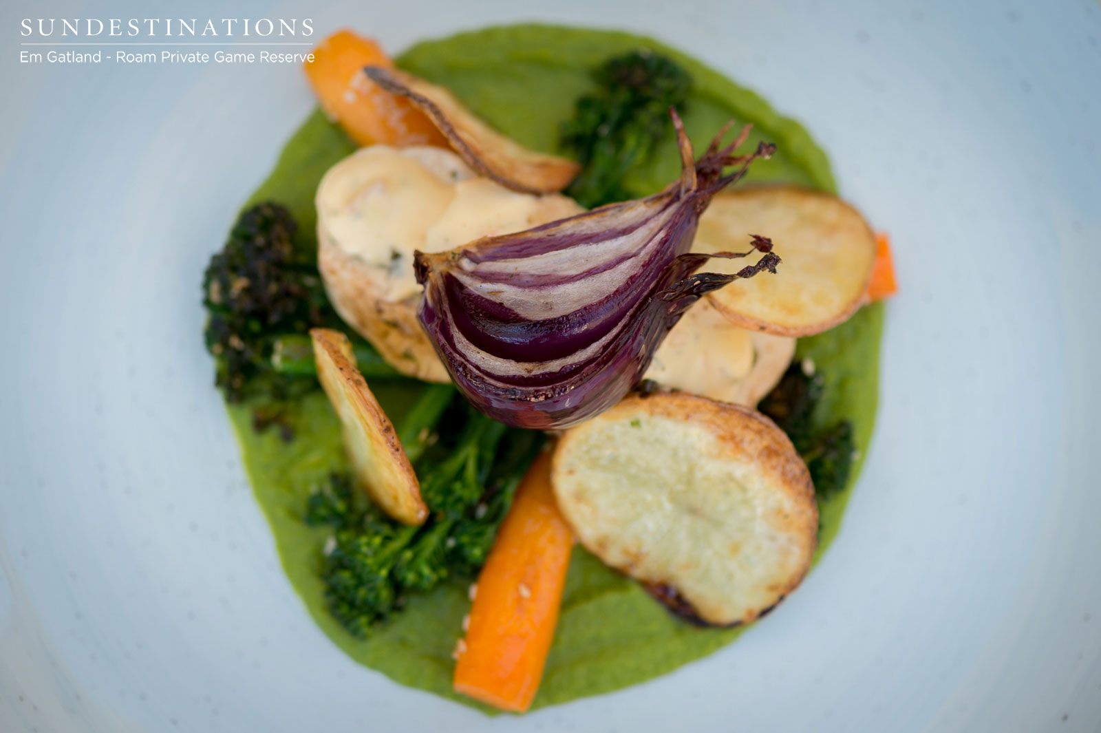 Vegetable and Roast at Roam Vegetable and Roast at Roam