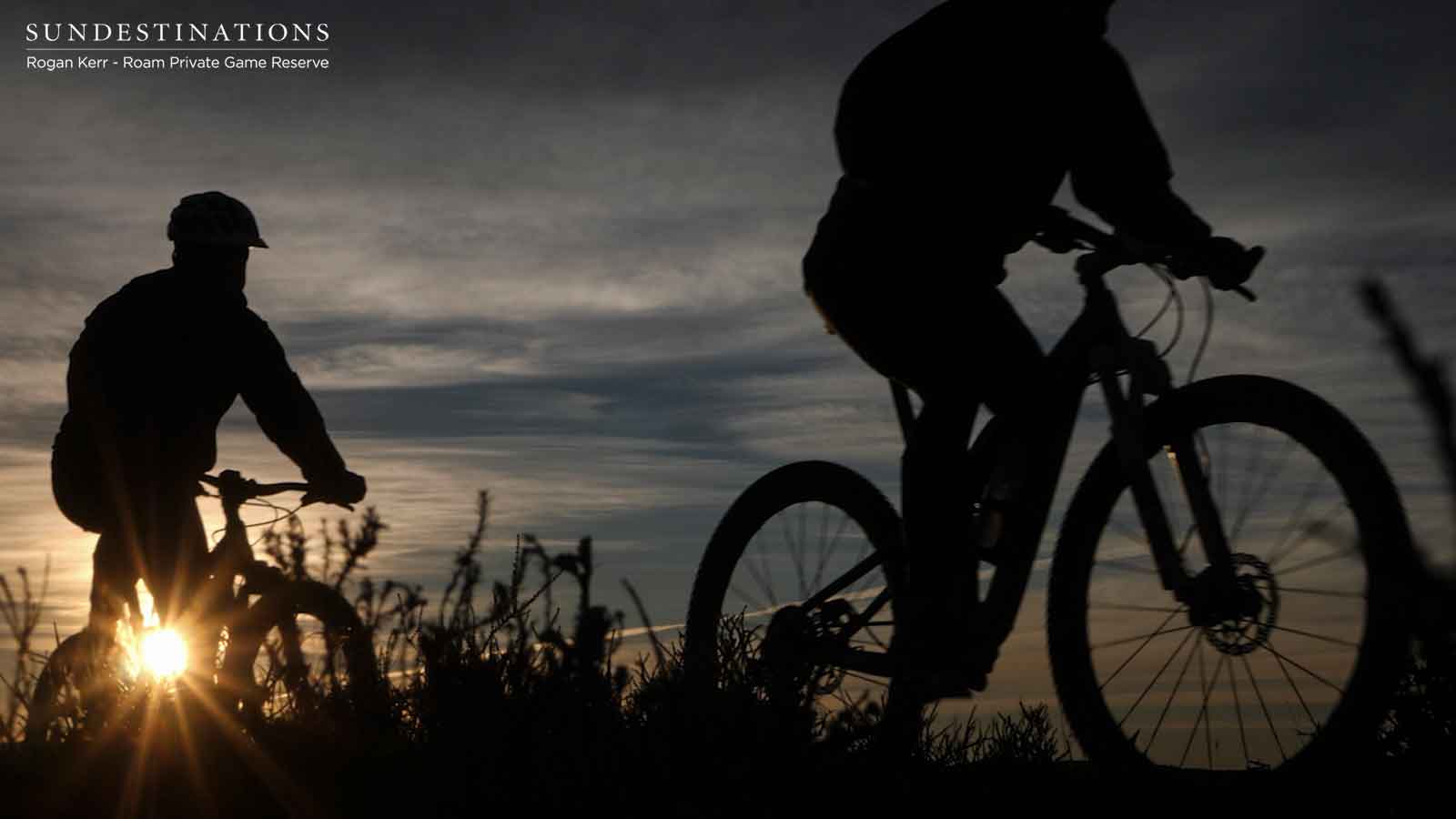 Roam Mountain Biking Roam Mountain Biking