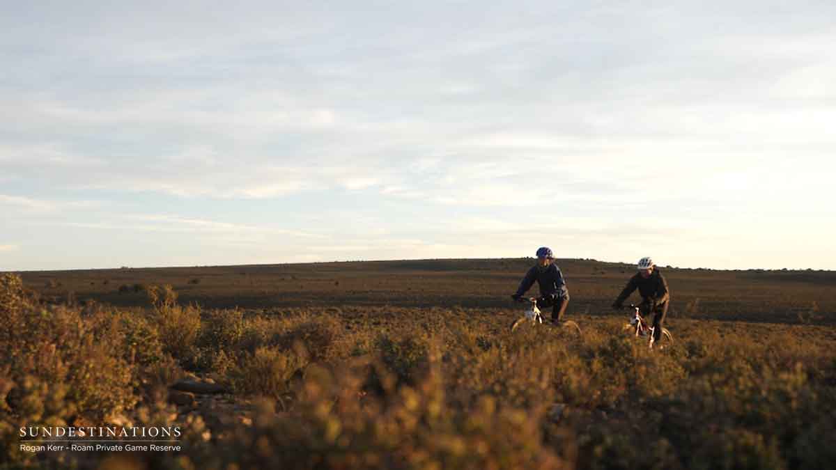 Roam Mountain Biking Bushveld Roam Mountain Biking Bushveld