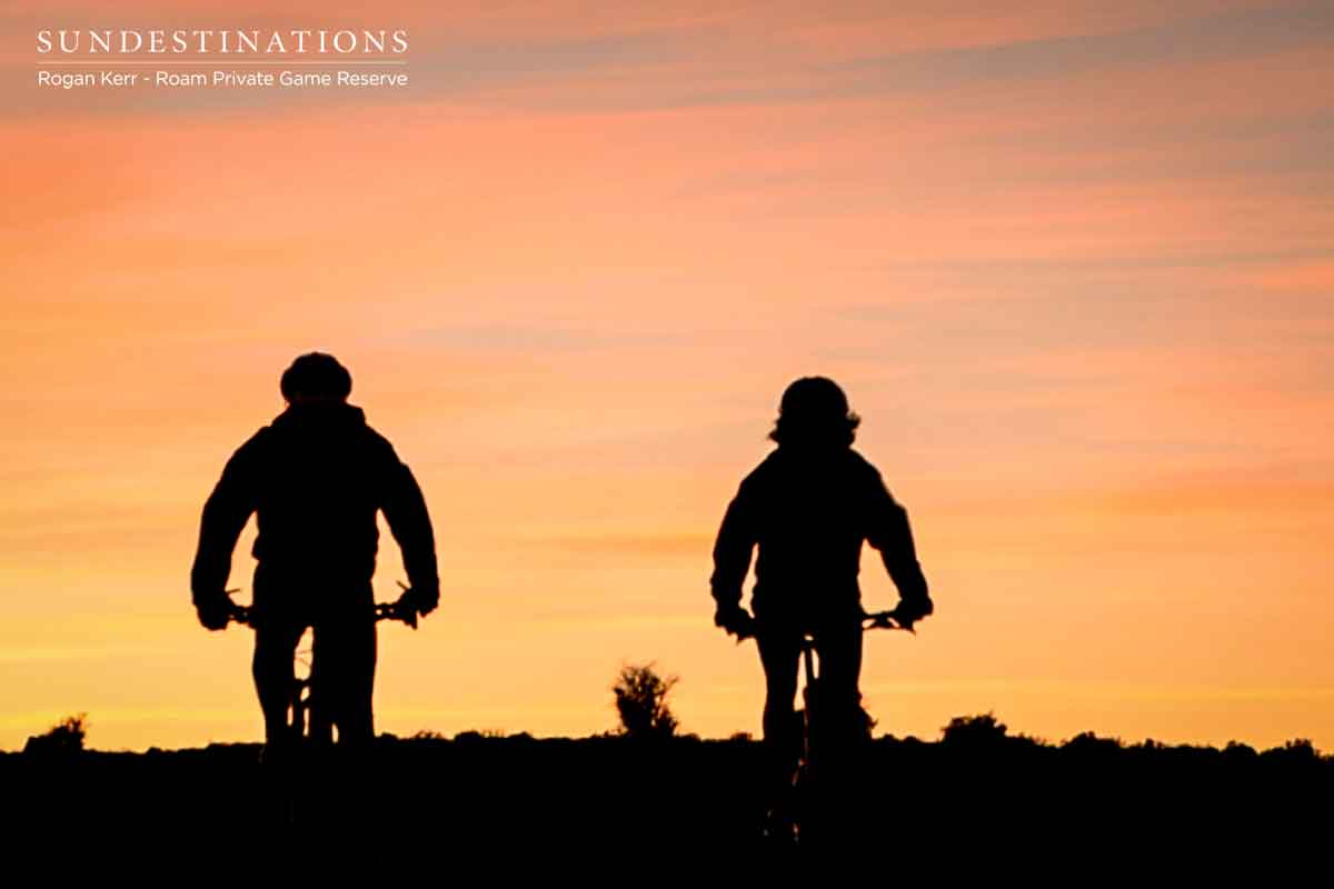 Mountain Biking at Sunset Mountain Biking at Sunset