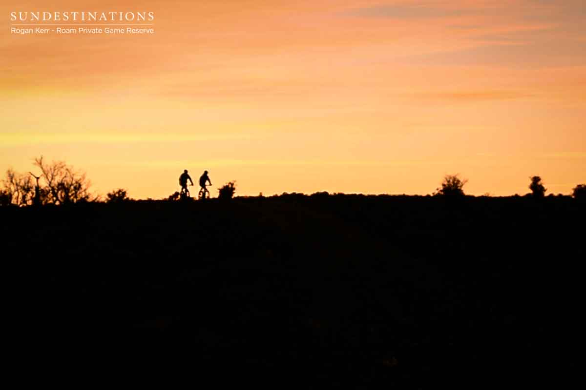 Roam Mountain Biking Sunset Horizon Roam Mountain Biking Sunset Horizon