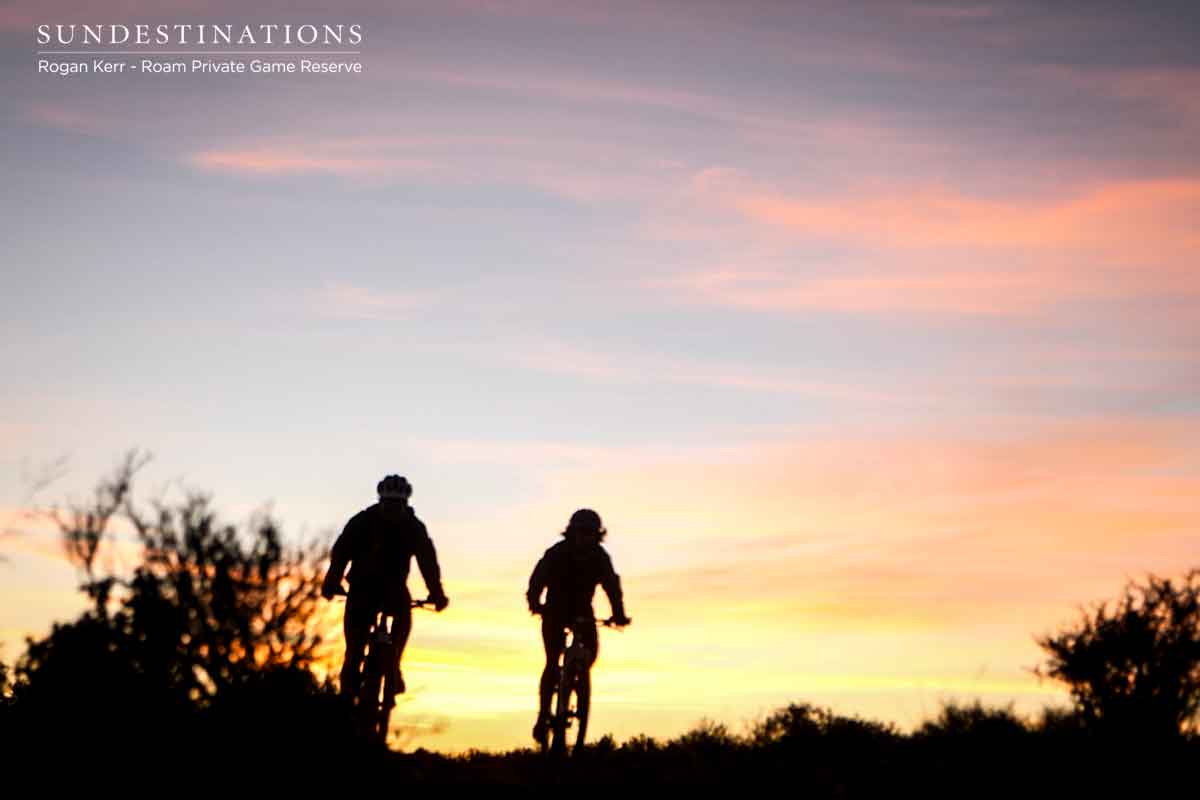 Twilight Mountain Bike Ride Twilight Mountain Bike Ride