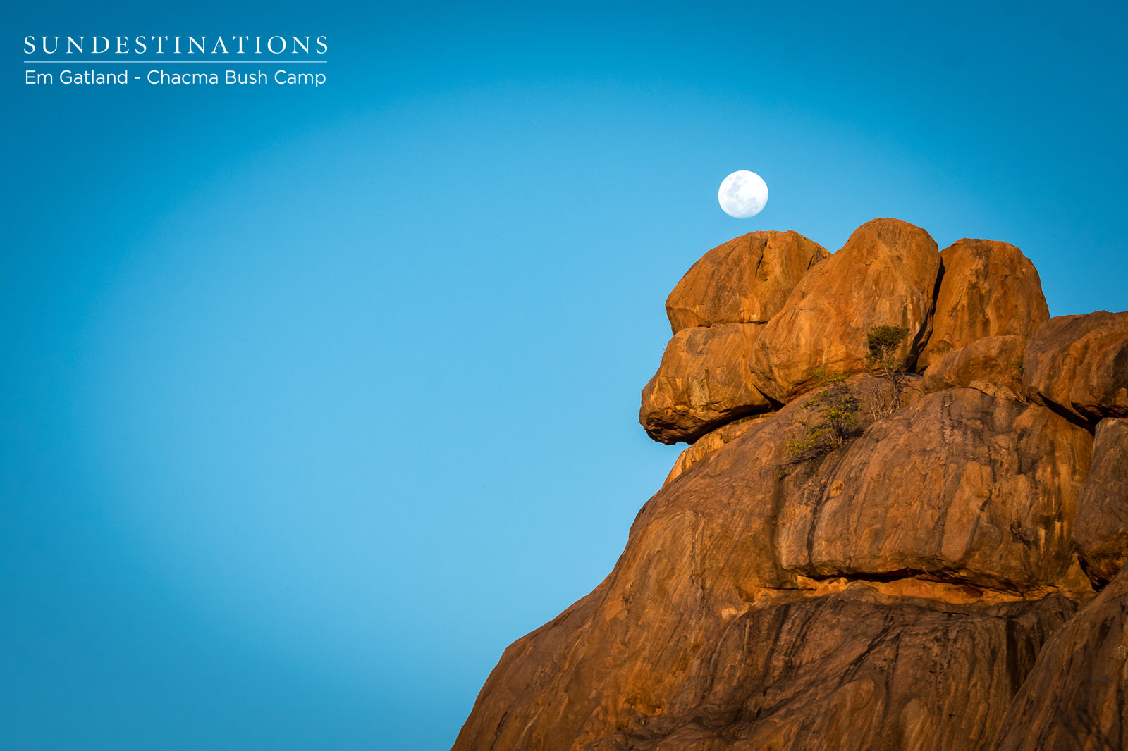 Chacma Bush Camp Surrounds Chacma Bush Camp Surrounds