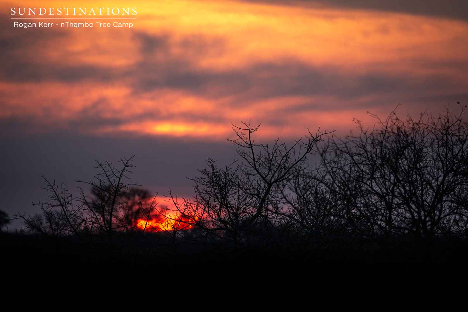 Sunset at nThambo Tree Camp Sunset at nThambo Tree Camp