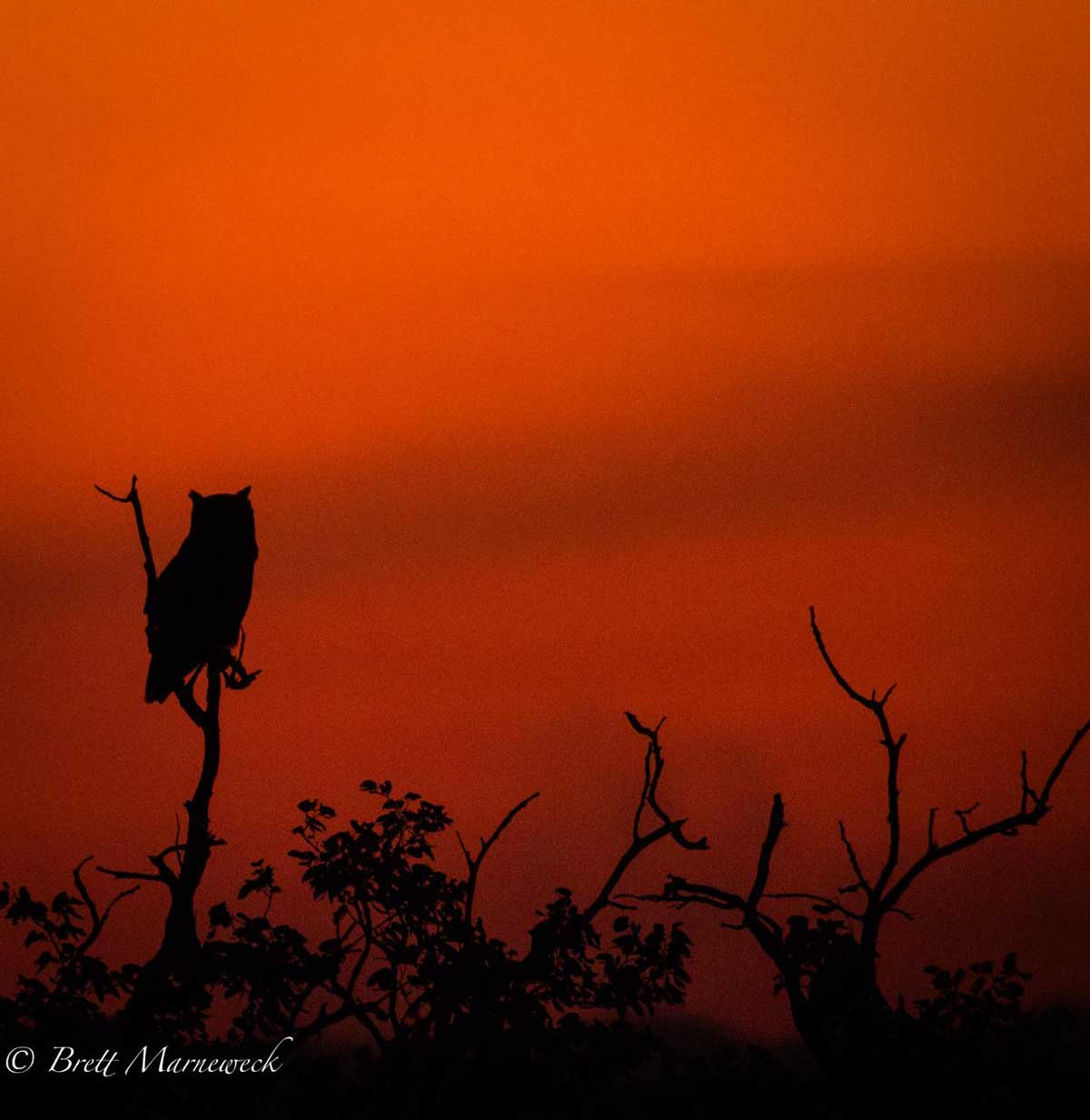Sunset at Nsala Safari Camp Sunset at Nsala Safari Camp