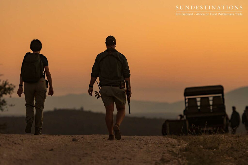 Wilderness Sunset