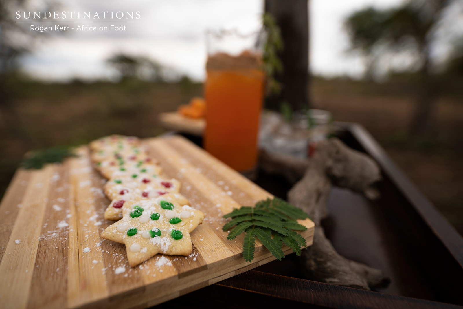 Xmas Cookies in the Bushveld Xmas Cookies in the Bushveld