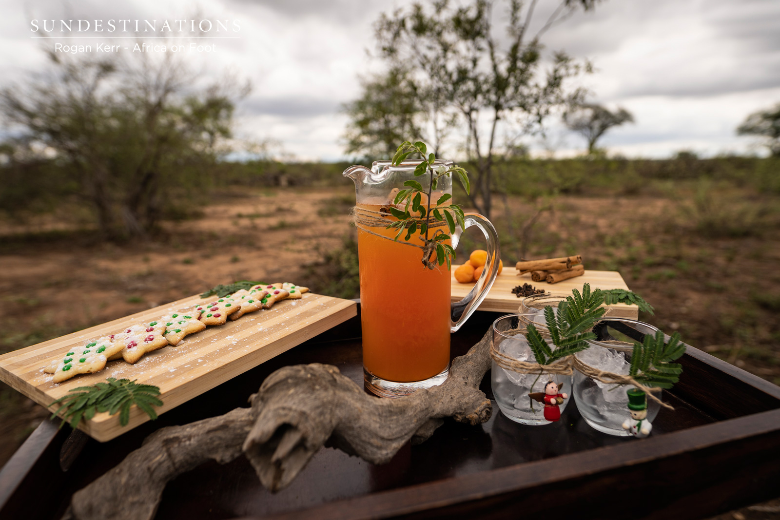 Xmas in the Bushveld Xmas in the Bushveld