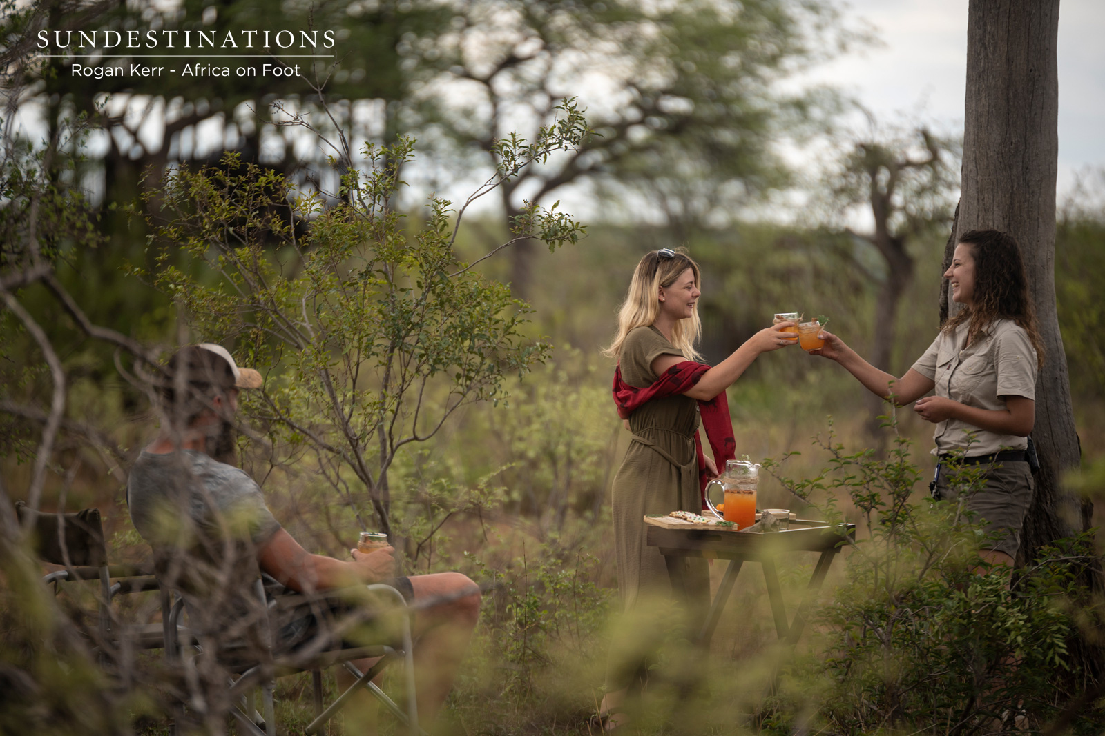 Christmas in the bushveld Christmas in the bushveld