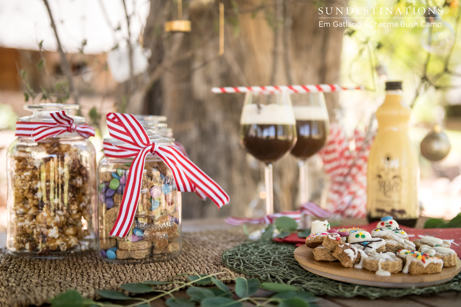 Xmas Chacma Xmas Xmas Chacma Xmas