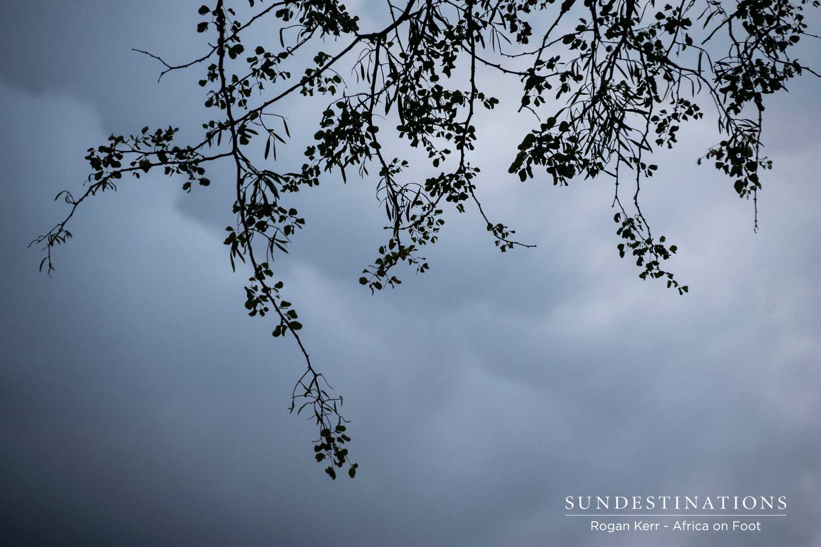 Stormy Sky in Klaserie Stormy Sky in Klaserie