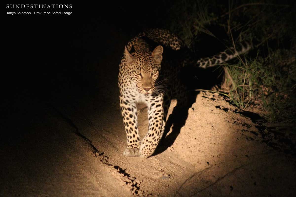 Ntsumi Tanya Ntsumi Tanya